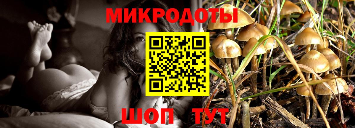 Галлюциногенные грибы прущие грибы Коломна