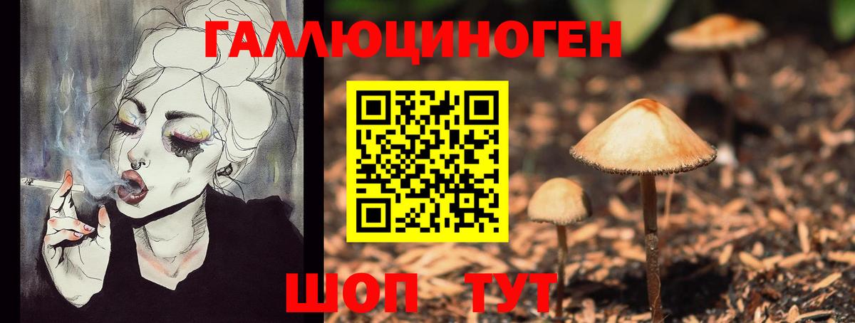 Псилоцибиновые грибы Psilocybine cubensis  Вход с VPN  где купить наркоту  Коломна  Псилоцибиновые грибы Cubensis 